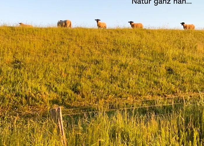 Meeresrauschen Stein (Schleswig-Holstein)